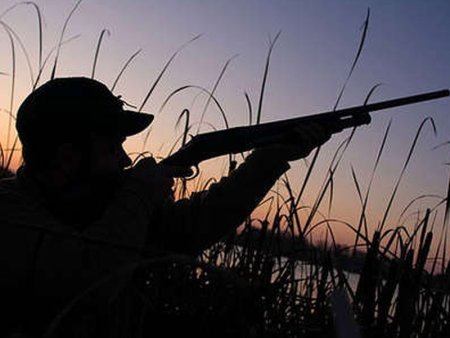 Qanunsuz ov edənlər altı min manat cərimələnib