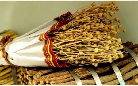 Üzərliklə bağlı daha bir xəbərdarlıq - Cinayət məsuliyyəti daşıyır...