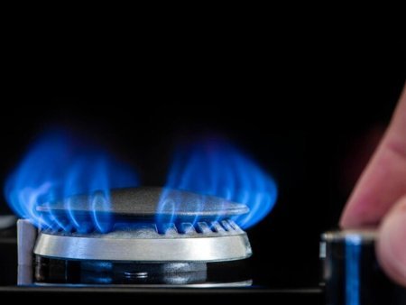 Qazın qiyməti kəskin BAHALAŞDI