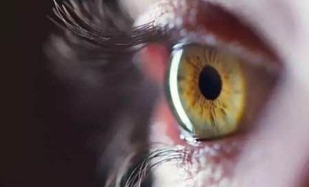 Allergiya mövsümü başladı: Gözlərinizin qorunma yolları