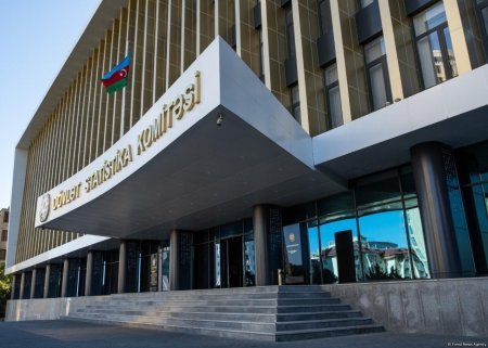 Statistika Şurasının sədri DƏYİŞDİ