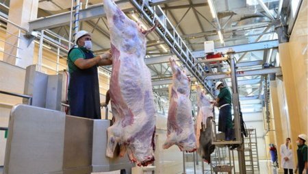 Qurban bayramı günlərində 134 ünvanda satış və kəsim xidmətləri göstərilir -AQTA