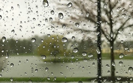 Hava ilə bağlı xəbərdarlıq edildi