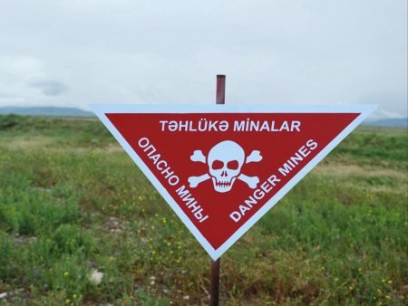 İyulda 8 mindən çox hektar ərazi minalardan təmizləndi