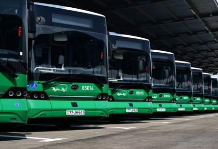 Naxçıvan avtobus parkında 222 nəfər işlə təmin edildi