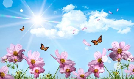 Bu günün hava proqnozu açıqlandı Bu günün hava proqnozu açıqlandı