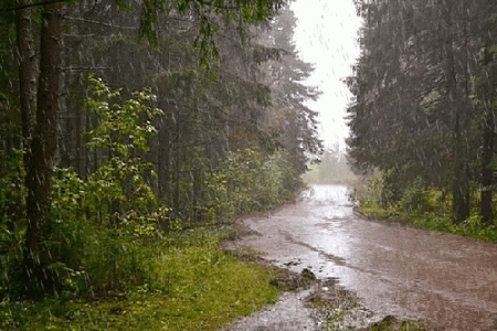 Güclü yağışlar başlayır: Temperatur 10 dərəcə enəcək